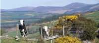 Wicklow Way | Footfalls Walking Holidays