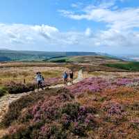 August heather on the North Yorks Moors | Jon Milllen