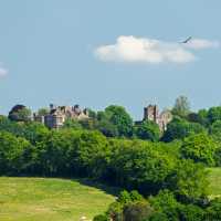 Battle Abbey and Powdermill Wood on the 1066 Trail | SuxxesPhoto