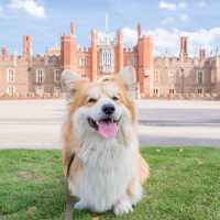 A special visitor to Hampton Court Palace | Aurelie Four - Visit Britain