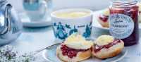 A traditional Cornish afternoon tea with jam and cream | David Griffen