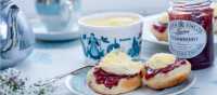 A traditional Cornish afternoon tea with jam and cream | David Griffen