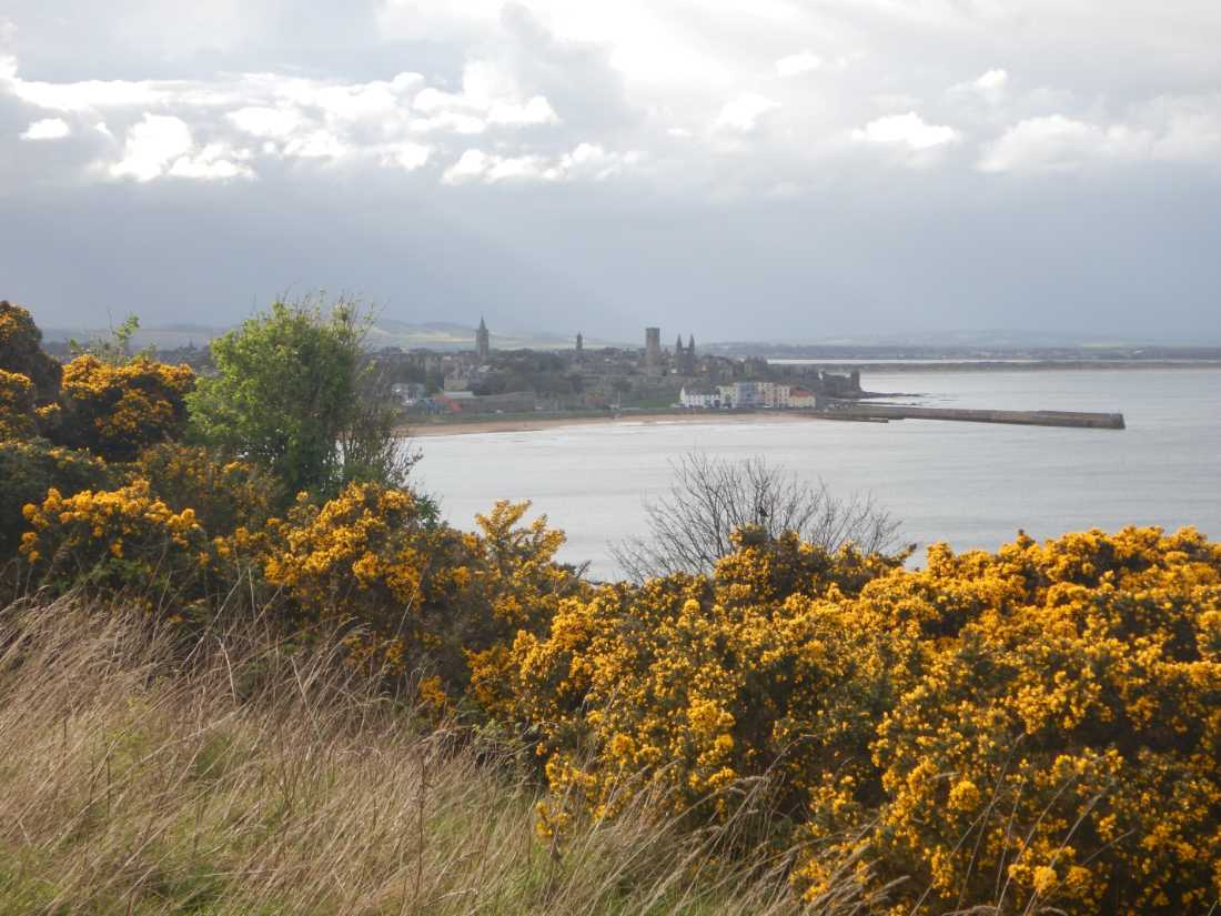 The Fife Coastal Path |  Peter Wells