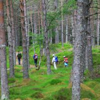 Hiking the Great Glen Way in Scotland | John Millen