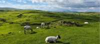 Looking towards the Cumbria Way from Barrow Monument | Phil Peacock