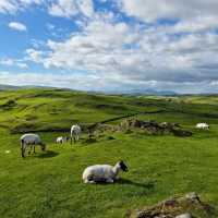 Looking towards the Cumbria Way from Barrow Monument | Phil Peacock