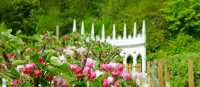Painswick Rococo Garden, Cotswolds | Shutterstock