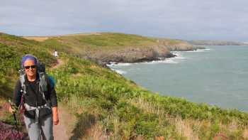Coast path near St. Davids | John Millen