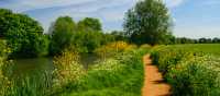 Riverside Trails on the Thames Path |  Shutterstock