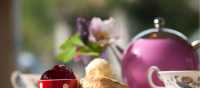 Tea with Scone and Cream | David Clapp