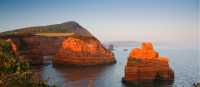Sea Stacks at Ladram Bay, South West Coast Path | Milan Gondra