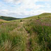 Path through the sedge | Martin Strasmore