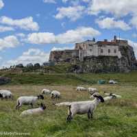 Lindisfarne Church | Martin Strasmore