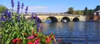 The Bridge over the Thames at Henley | Shutterstock