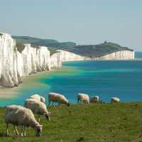 Meet the locals around the Seven Sisters in the south of England | Diego Torres