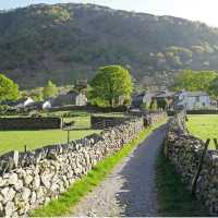 Early morning on the trails in England | John Millen
