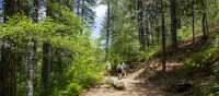 Hiking the Caledonia Nature Trail, Cyprus | Olga Dunchuk