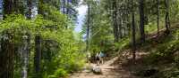 Hiking the Caledonia Nature Trail, Cyprus | Olga Dunchuk