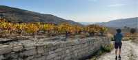 Hiking through the Omodos Vineyards | Fiona Marshall