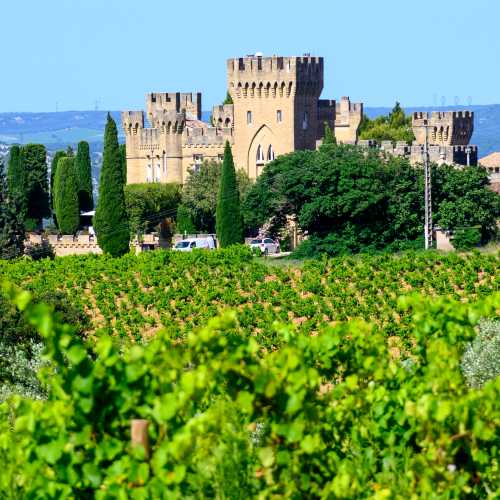 Vineyards of Chateauneuf du Pape appellation with grapes growing on soils with large rounded stones galets roules, lime stones, gravels, sand and clay, famous full body red wines, France