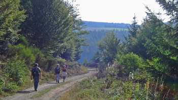 Mercoire forest on the Stevenson Trail in France's Cevennes | Havang(nl)