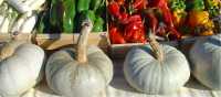 Local produce at a market in Provence