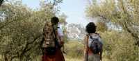 Walking out of a forest in the Alpilles