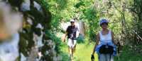 High drystone walls