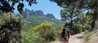 Walking the Dentelles de Montmirail, Provence
