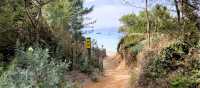 The stunning paths on Porquerolles island | Els