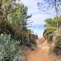 The stunning paths on Porquerolles island | Els