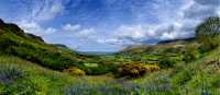The beautiful Antrim Glens, Ireland | Christopher Hill