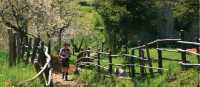Approaching San Luigi, Italy's Apuane Alps