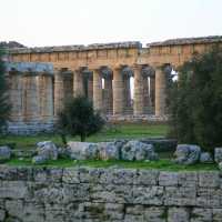 Basilica Temple, Paestum, Cilento | John Millen