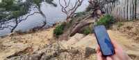 Easy route finding with our navigational app |  Els
