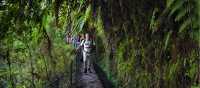 Levada Caldeir+úo Verde 2_Credit -®Tiago Sousa-AP Madeira