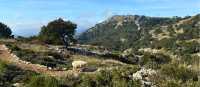 Hiking through the Spanish island of Majorca in stunning weather. | Kate Baker