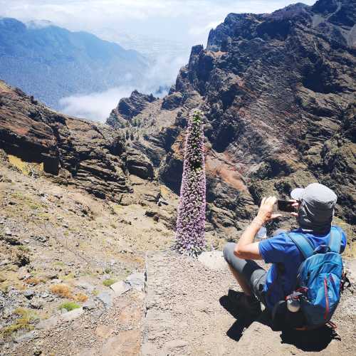 A hiker takes a break on the trails of La Palma