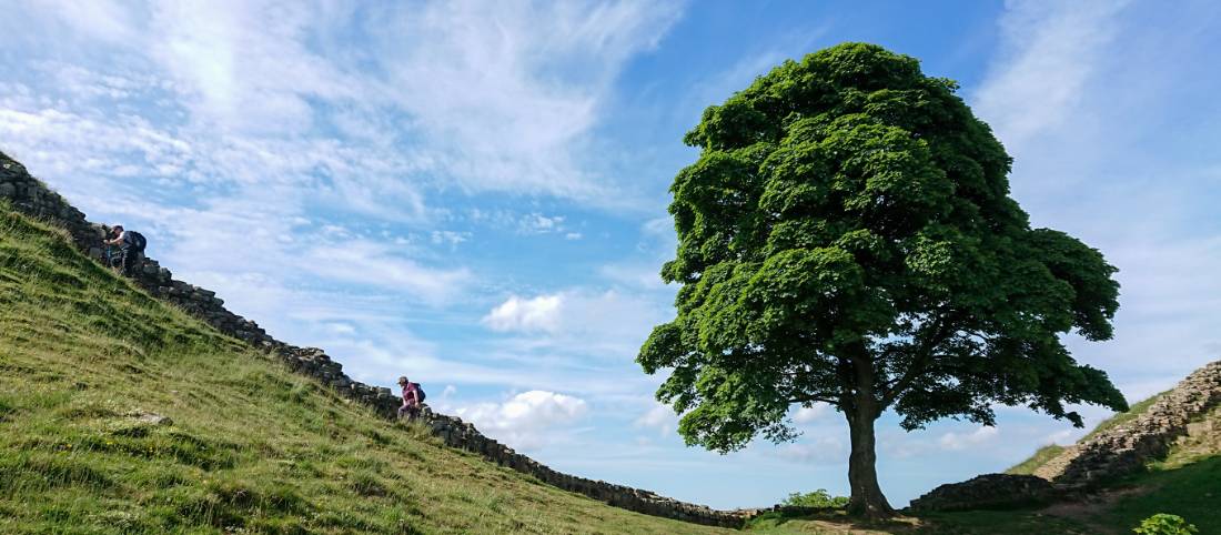Walkers follow Hadrian's Wall at Sycamore Gap |  Gordon Leggett