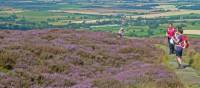 Hikers on the Coast to Coast, surrounded by colourful heather | John Millen