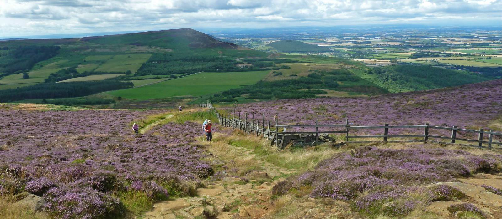 A scenic ascent on the Coast to Coast | John Millen