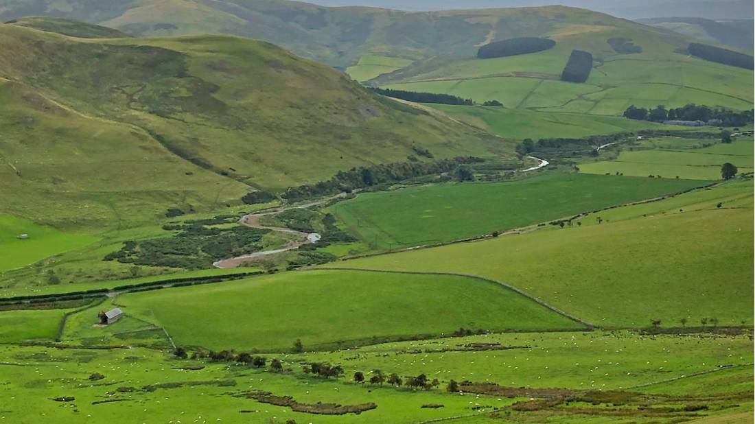 The Cheviot Hills in Northumberland |  <i>Alan Hunt</i>
