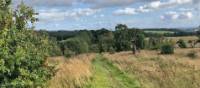 Grassy paths on the St Cuthbert's Way | Alan Hunt