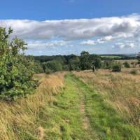 Grassy paths on the St Cuthbert's Way | Alan Hunt