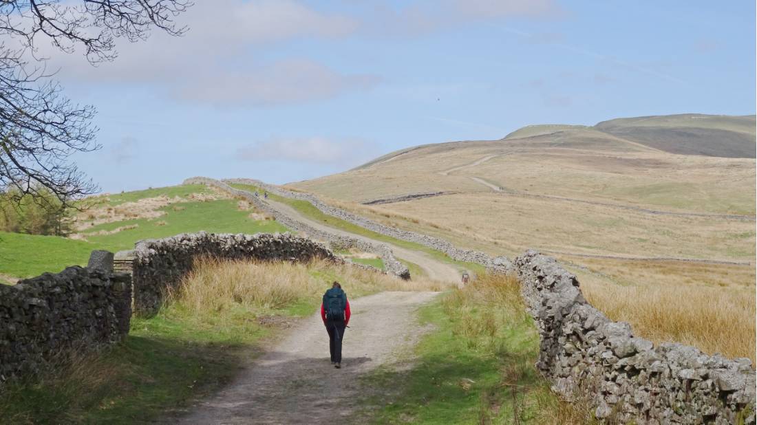 A hikers ascending Great Shunner Fell |  <i>John Millen</i>