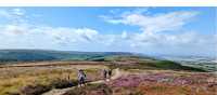 August heather on the North Yorks Moors | Jon Milllen