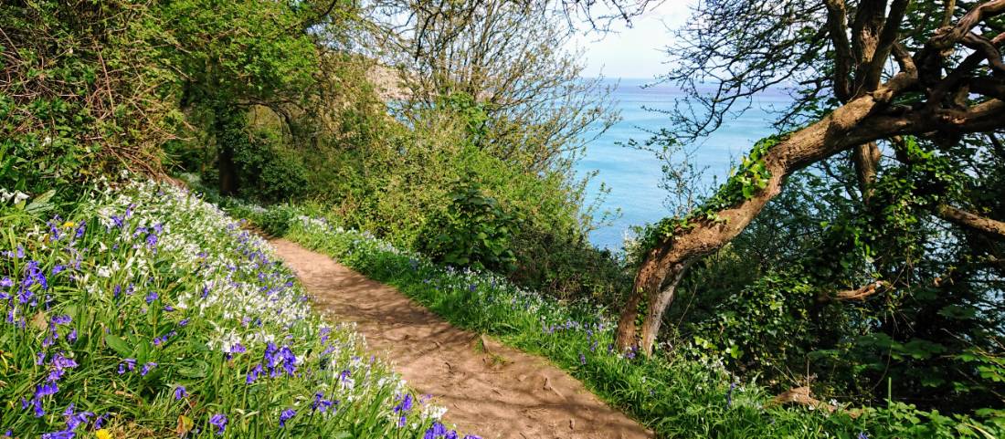 Bluebells & blue waters on a Guernsey walking trip |  <i>Nathalie Thomson</i>
