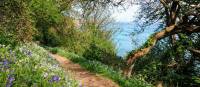 Bluebells & blue waters on a Guernsey walking trip | Nathalie Thomson
