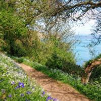 Bluebells & blue waters on a Guernsey walking trip | Nathalie Thomson