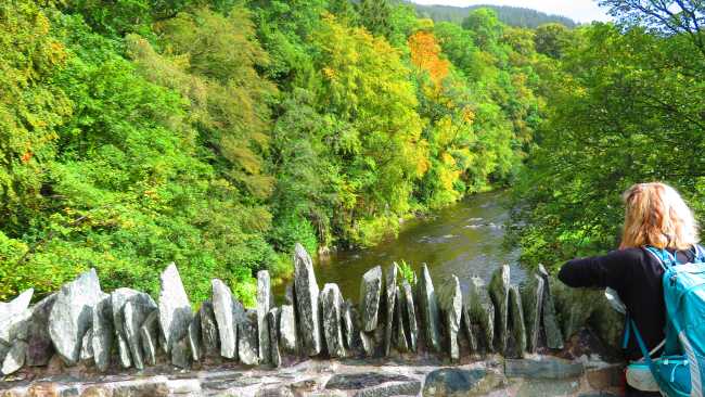 Bridge over the River Greta | John Millen